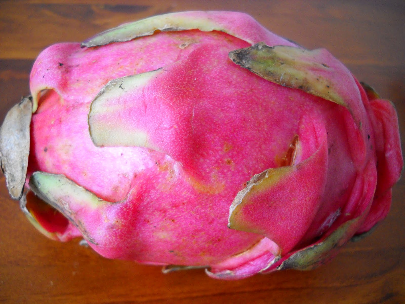 Tuna and dragon fruit salad Laws of the Kitchen