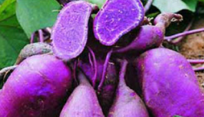  Khasiat Ubi Ungu Bagi Kesehatan