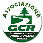 Il logo di Gcr