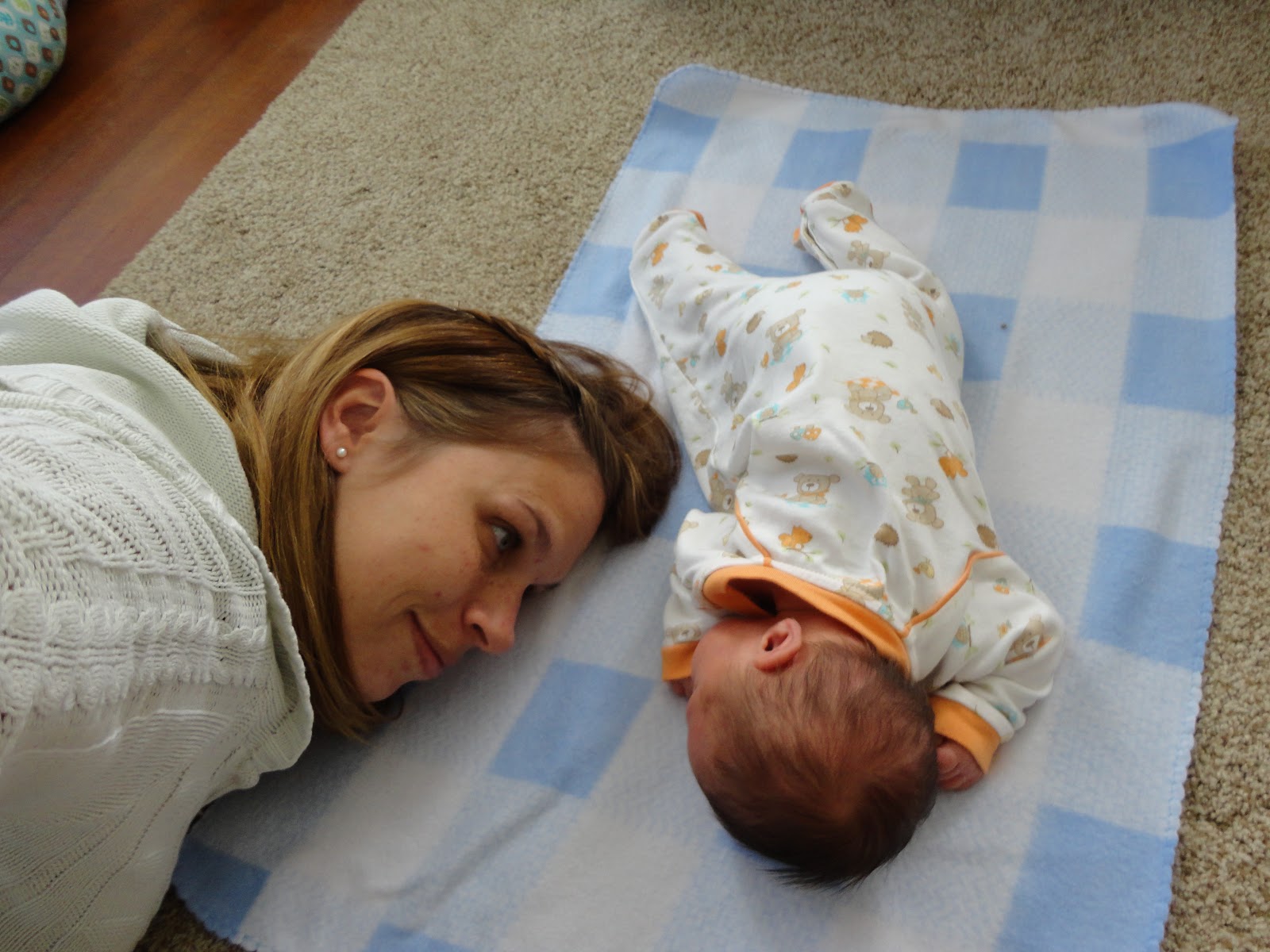 the-cookie-monster-news