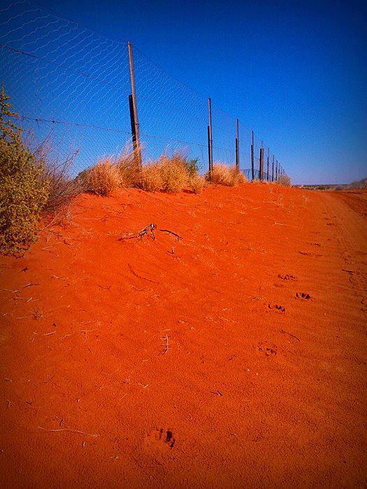 worldzone7 Wild Dog Fence Australia