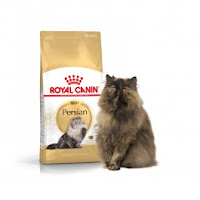  Royal Canin Persian