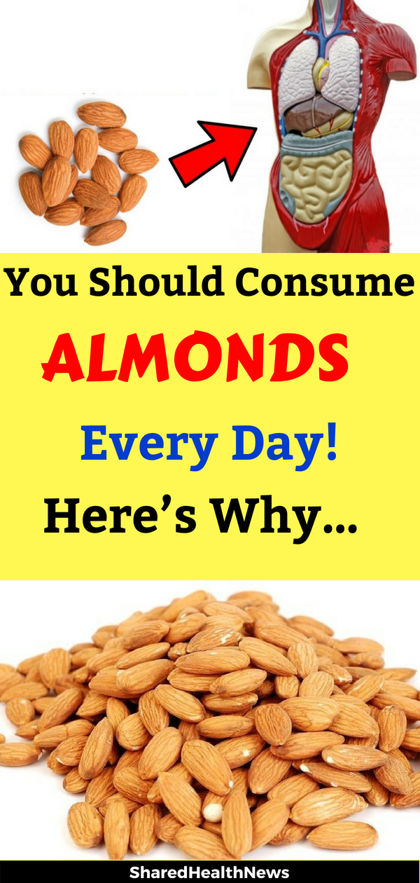 Shared Health News You Should Consume Almonds Every Day! Here’s Why…