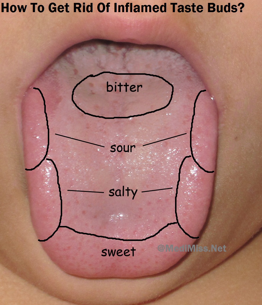 Mouth Taste Buds 8