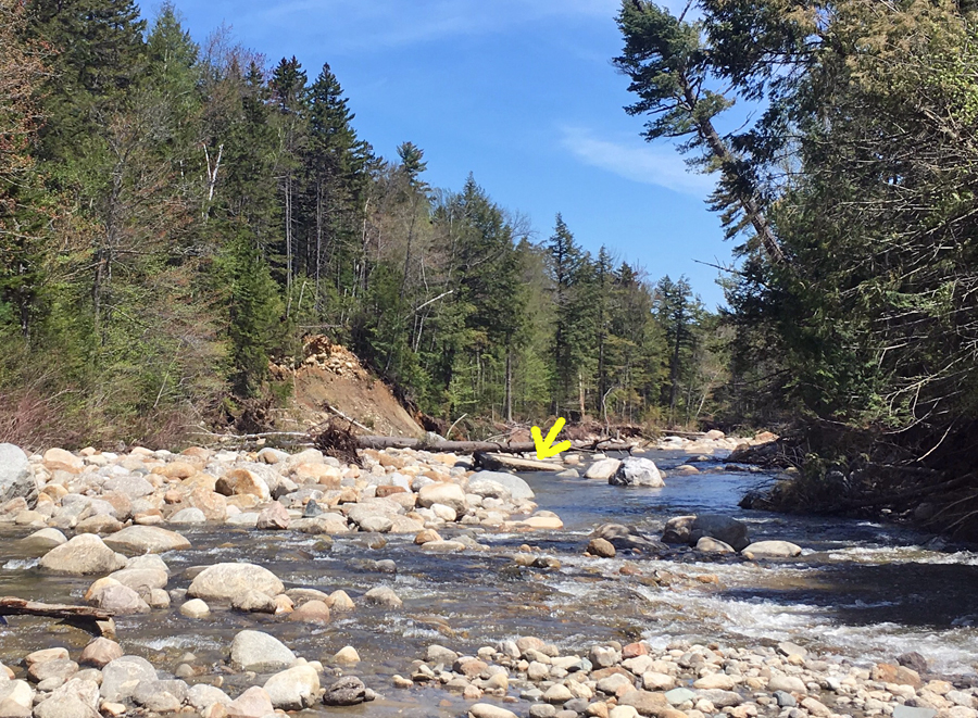 Hiking in the White Mountains Wild River Road Walk & Off Trail Exploration