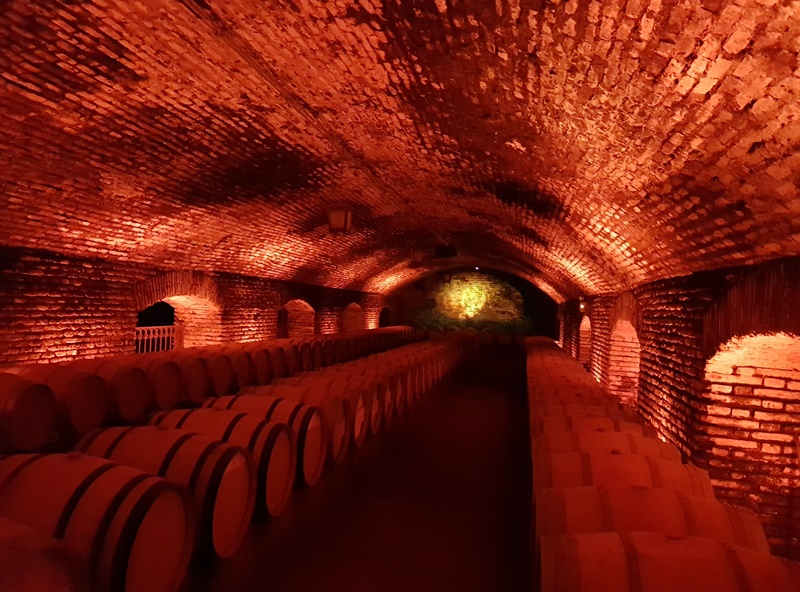 Tudo sobre a visita a Vinícola Concha y Toro, Santiago Casillero del Diablo Concha y Toro