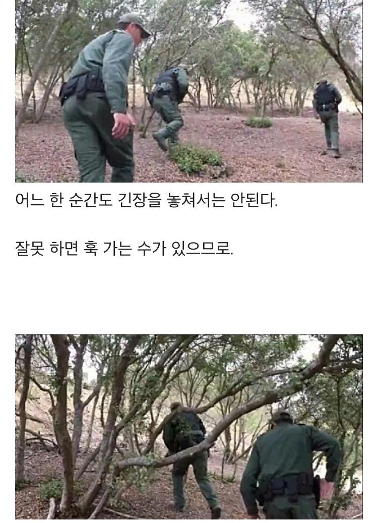 %25EC%25B2%259C%25EC%25A1%25B0%25EA%25B5