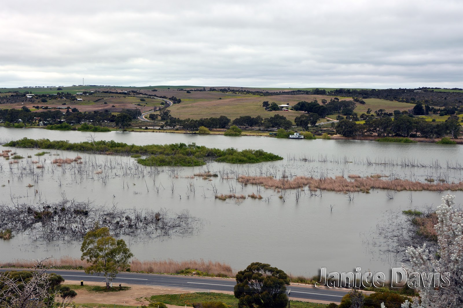 thoughts & happenings Murray River at Mannum, South Australia