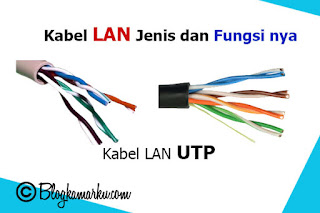 Kabel LAN Jenis dan Fungsi nya