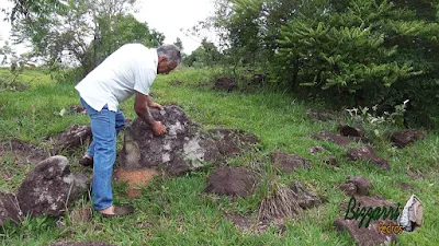 Bizzarri na pedreira fazendo o que mais gosta, garimpando pedras para construções com pedras. Na foto pedras moledo tipo pedra natural sendo pedra para paisagismo, pedras para jardim, pedras para lagos ornamentais, pedra para caminho, pedras para banco e muro de pedra.