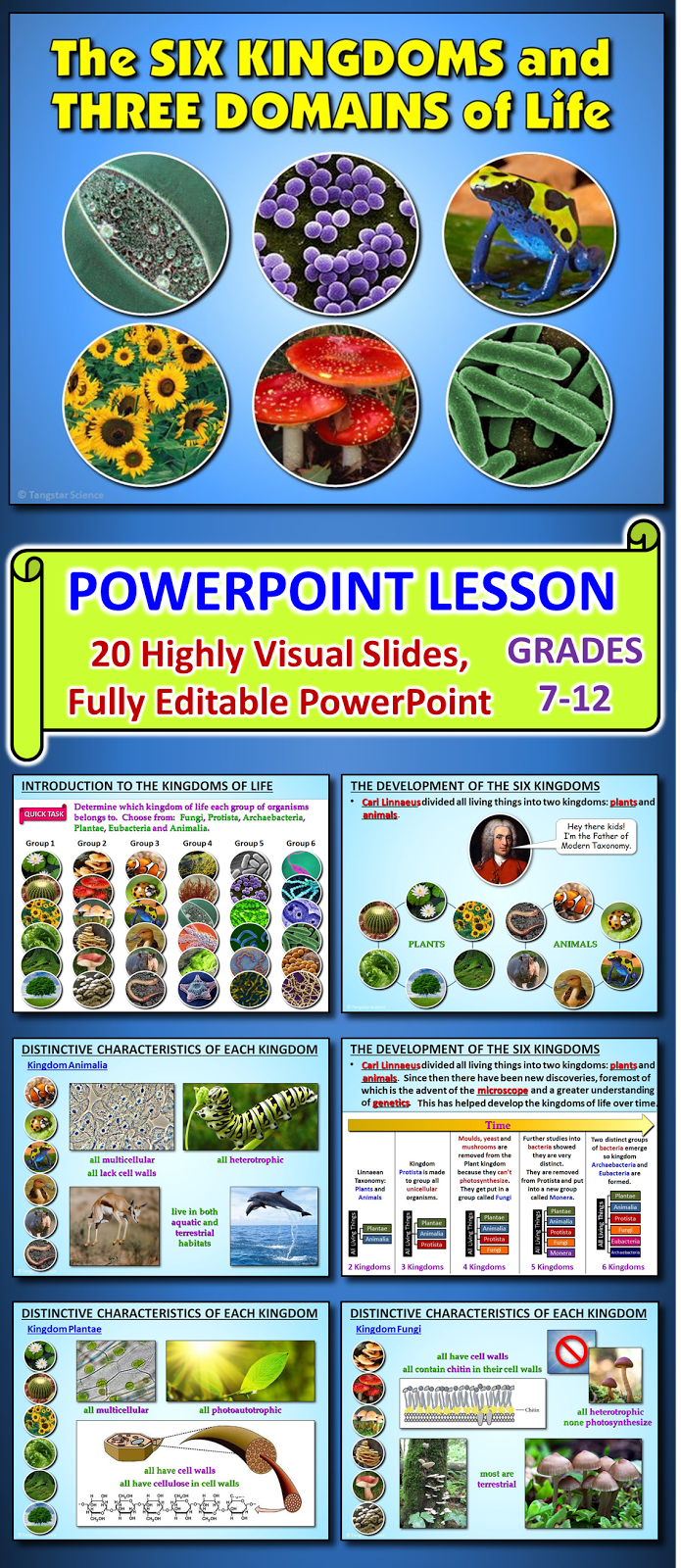 6 KINGDOMS OF LIFE POWERPOINT