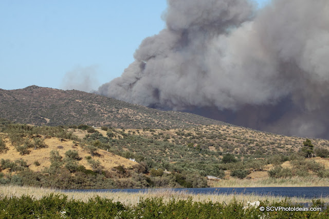 Summer Wildfire smoke at a distance III