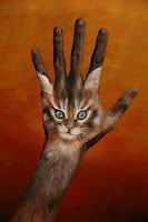 Animal Hand Arts Wallpaper(7)