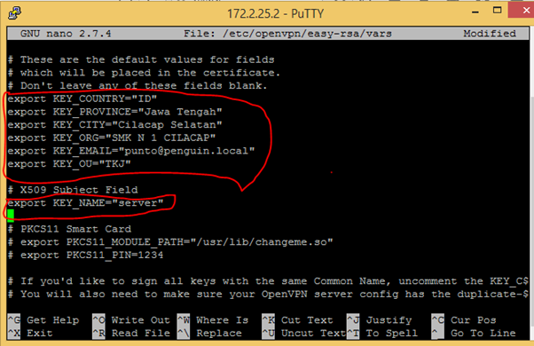 Rsa openvpn