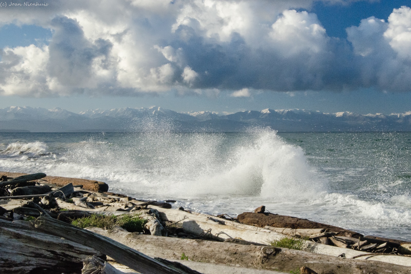 pacific northwest weather pacific northwest weather