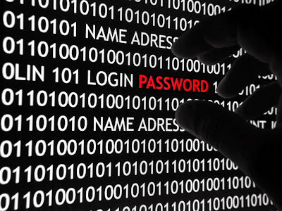 Hackers Maliciosos: ¿sabe cuáles son sus principales clases?