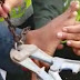 Encadena a su hijo para que no salga de su vivienda