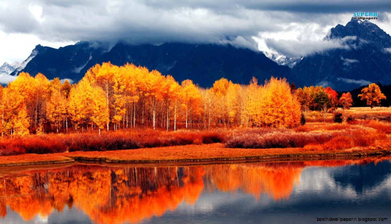 Orange Autumn Landscape Awseome   1366 x 768   For Monitors