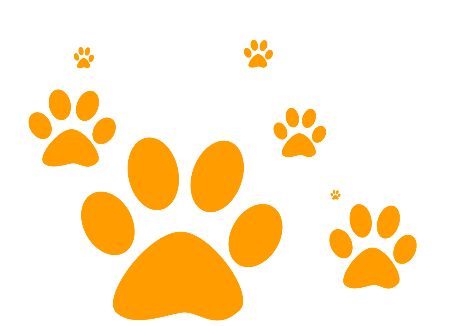 цифра 3 кота. оранжевый отпечаток лапки. лапки оранжевые. карамелька. кошачьи следы оранжевые.