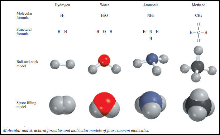 Molecular Formulas and Empirical Formulas: Definitions, Examples