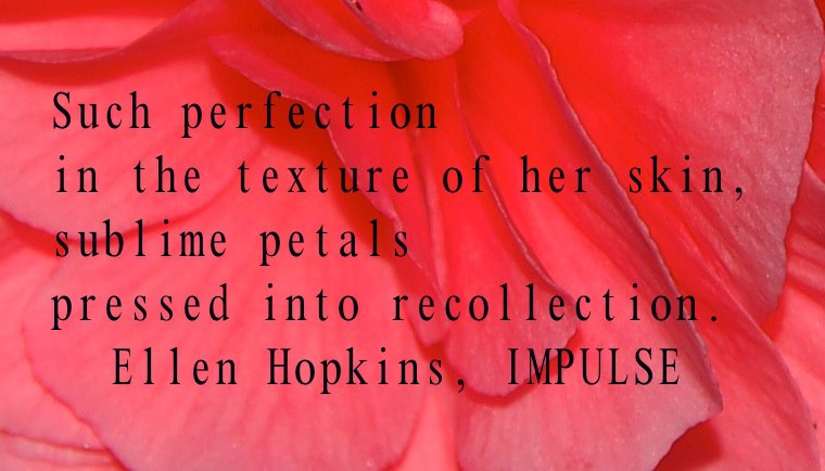 Babbling of a Bookaholic: Ellen Hopkins Quote(14)