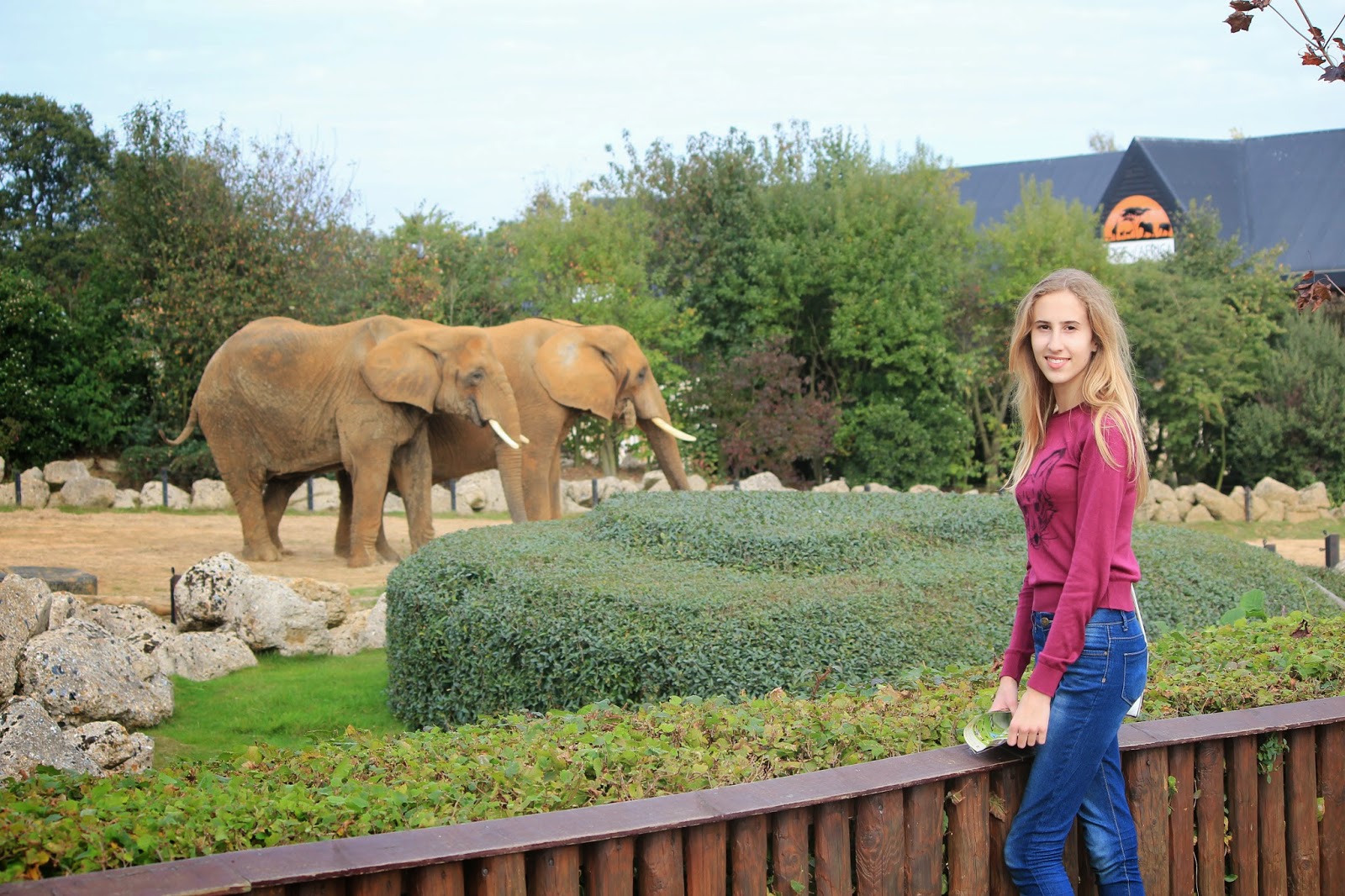 Chanie's Wonderland: Zoo OOTD