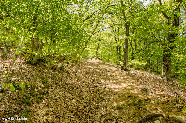 Neolica Hiking Trail, Bitola, Macedonia