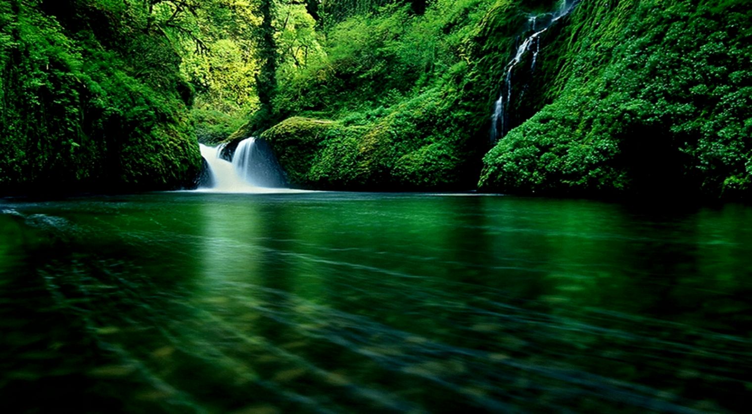 Nature Wallpapers In Hd | HD Wallpapers Collection