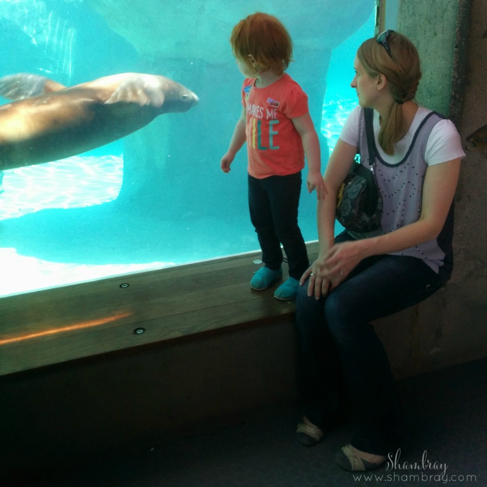 Shambray 34 fun things to do on Memorial Day