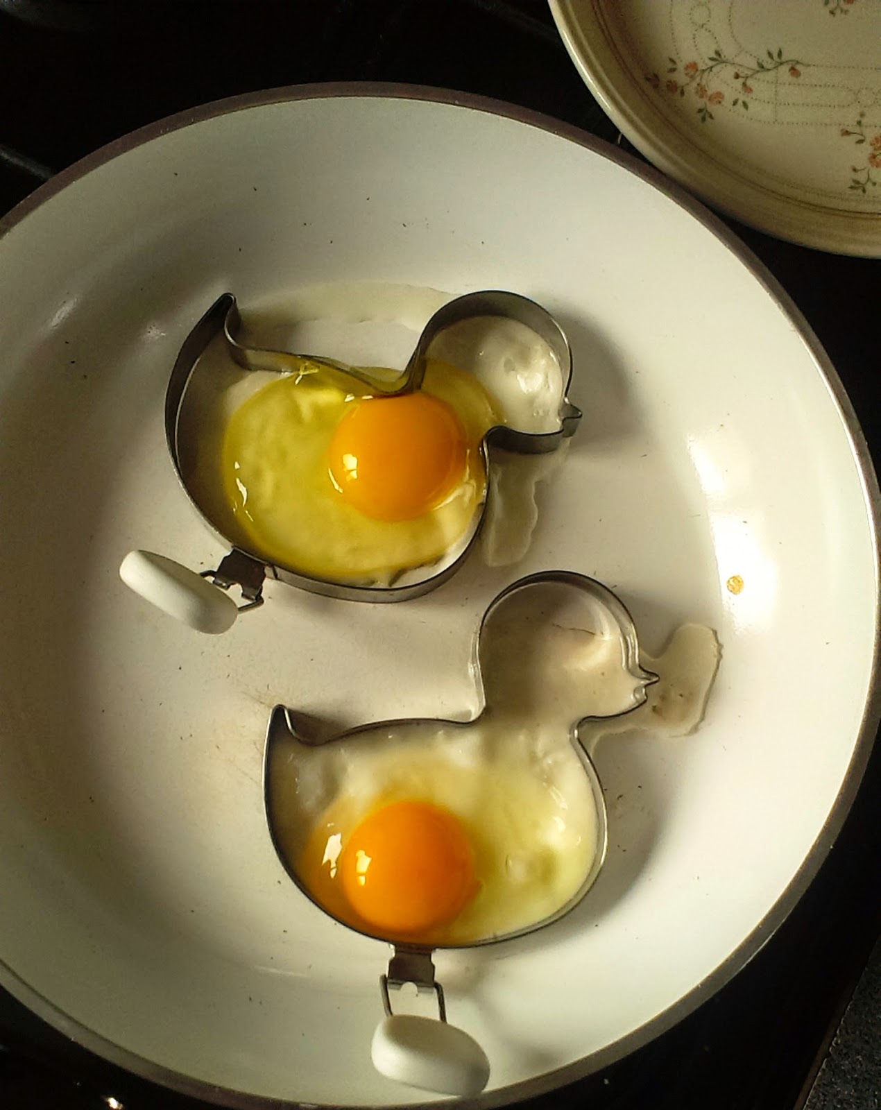 Fried egg ducks