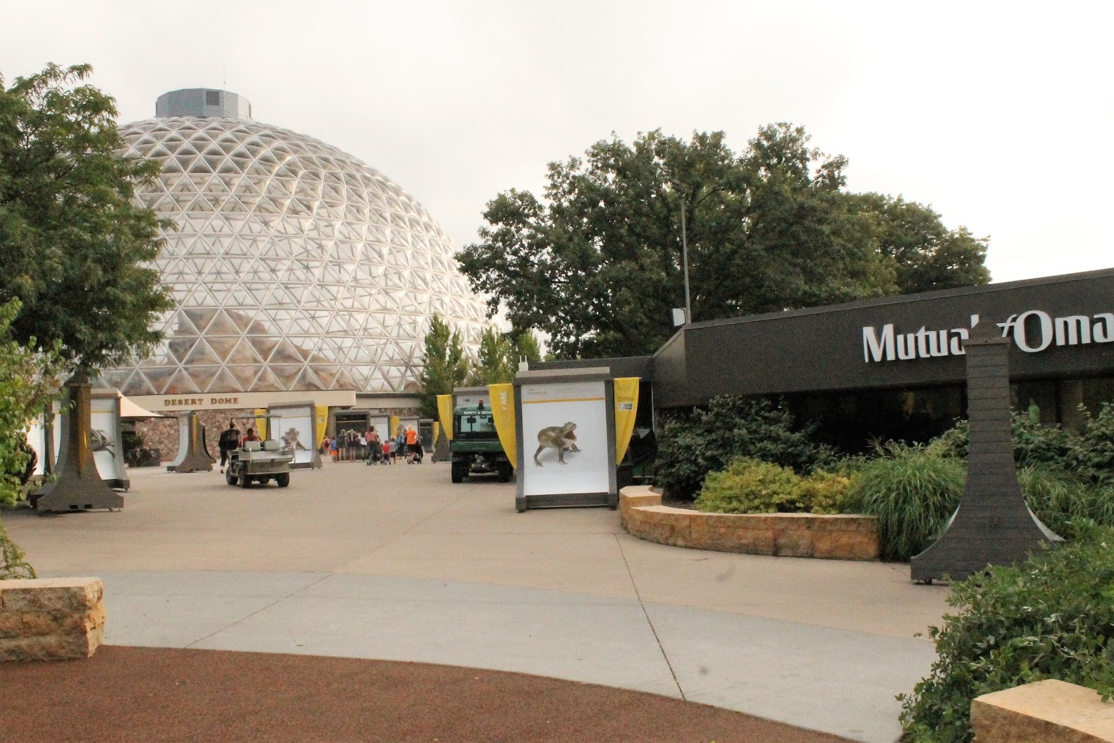 Corn, Beans, Pigs and Kids: Have a Wild Time at Omaha's Henry Doorly Zoo