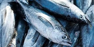 5 Jenis Ikan yang Sebaiknya Tidak Dikonsumsi Walau Umum di Pasaran. The Zhemwel