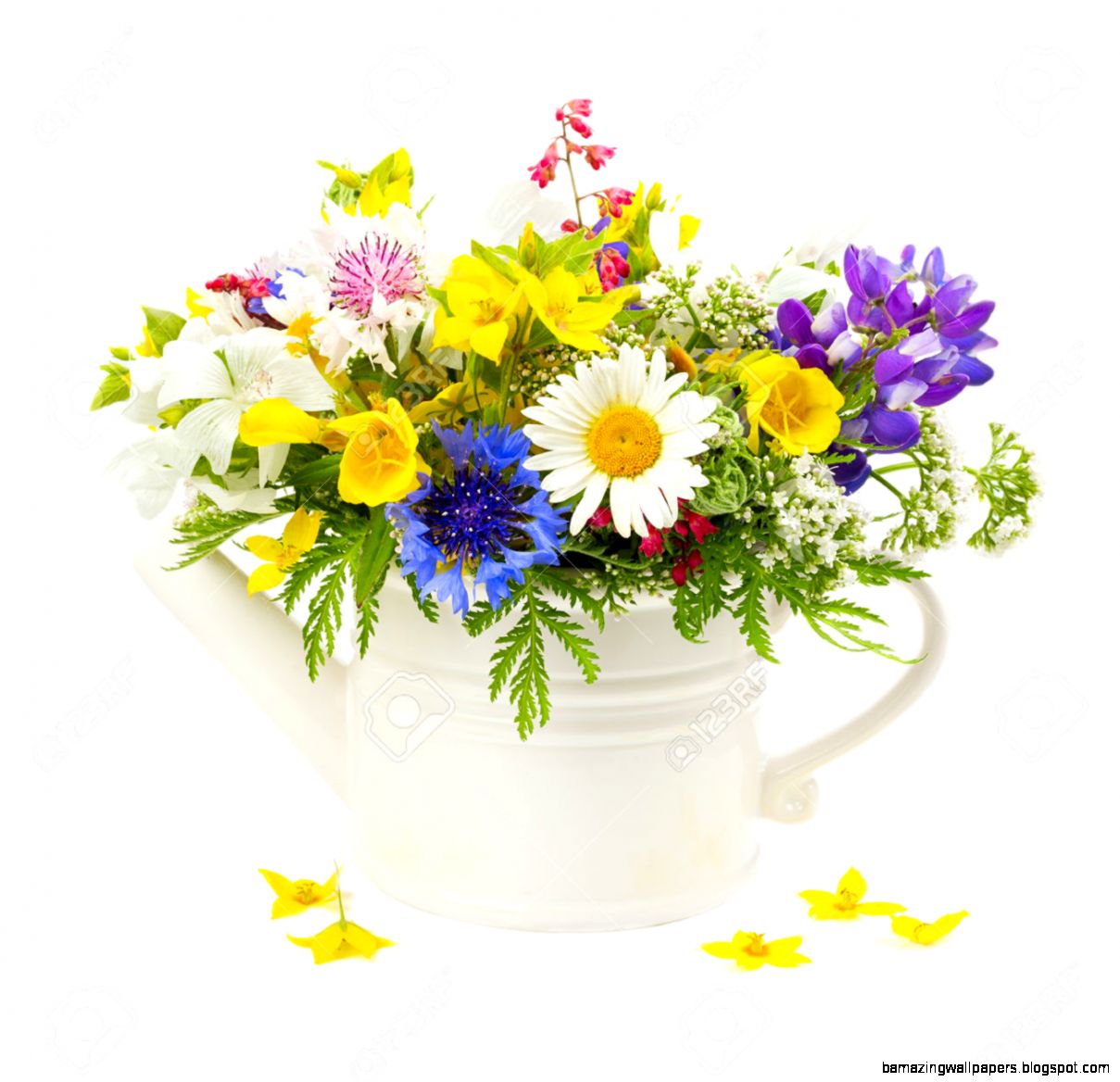 Bouquet Of Summer Flowers In A White Pot Stock Photo Picture And