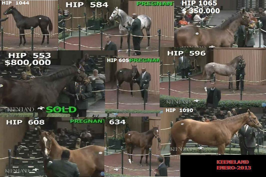 Turf Stats KEENELAND