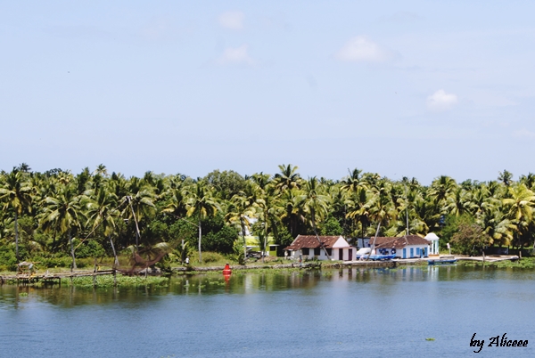 Kerala-India-paradis-tropical-de-vazut