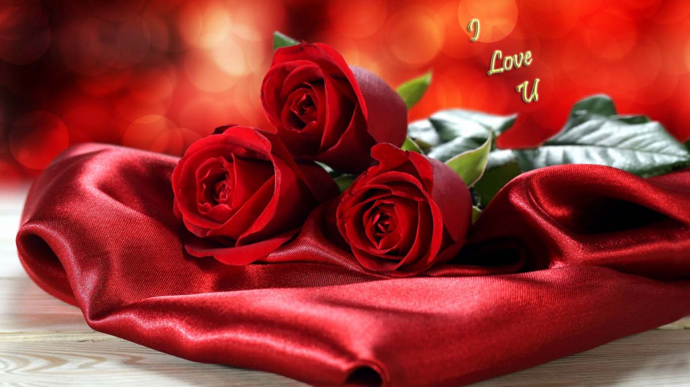 Nice and new Love images ~ Allfreshwallpaper