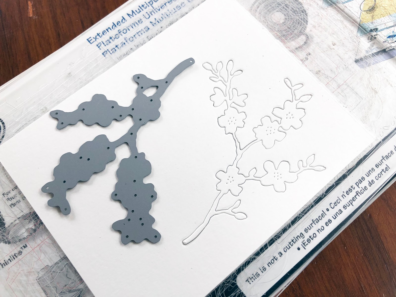 Les Cerisiers En Fleurs Par Les Enfants Dali Passion Aquarelle