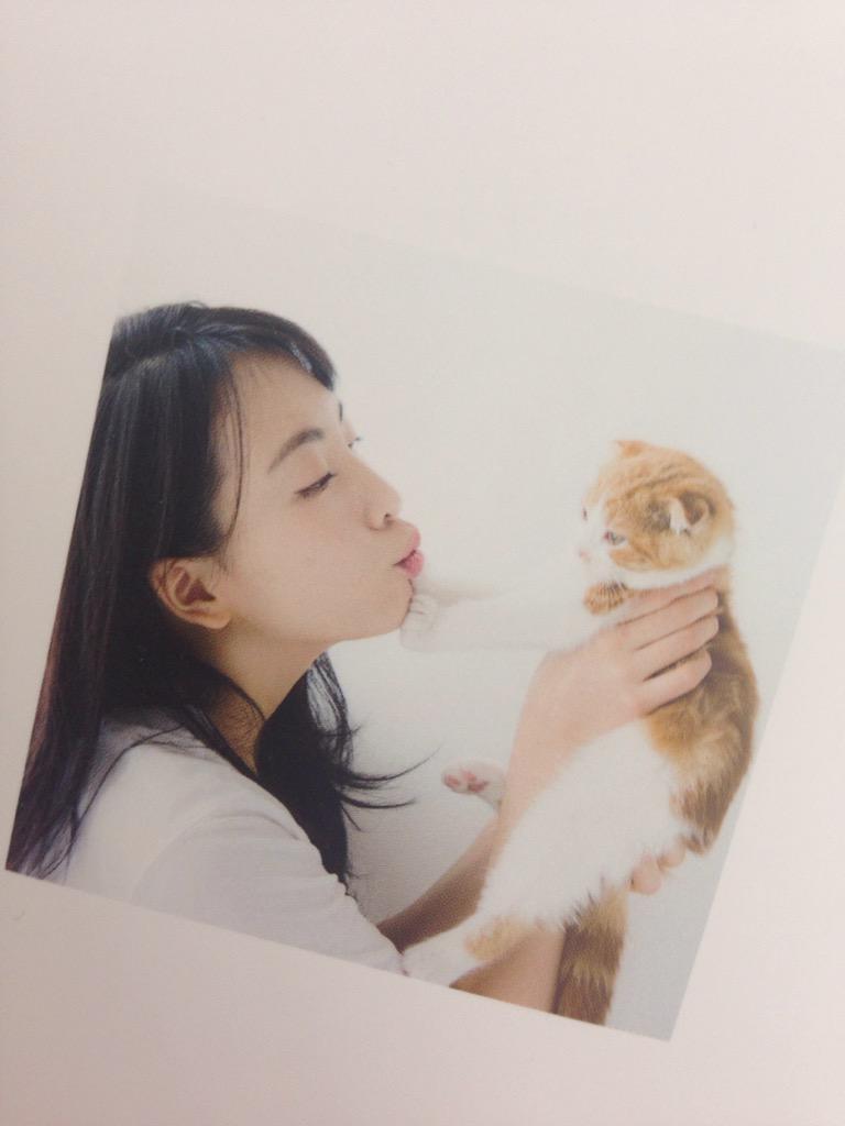 강지영네 고양이 | 인스티즈