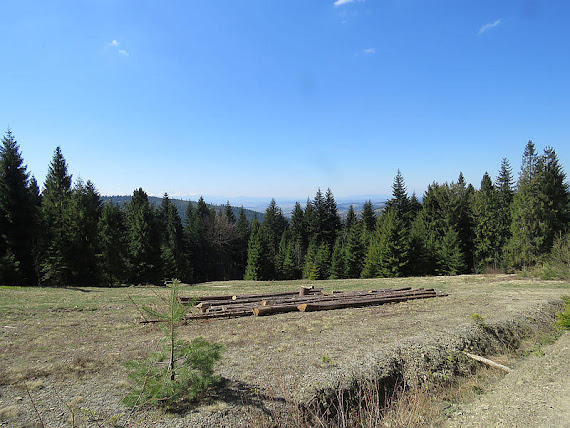 Polana Polana