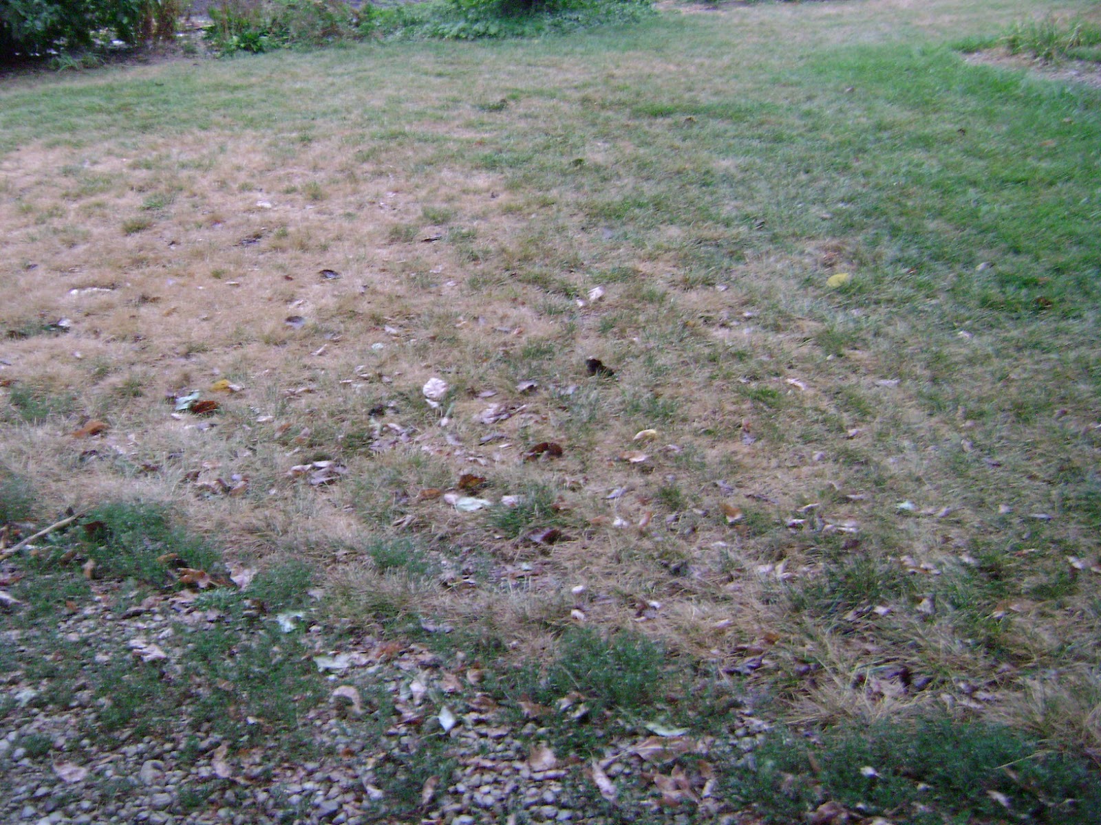 riley-county-extension-blog