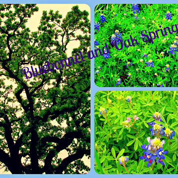 Inspirational Thursday-Bluebonnet Spring