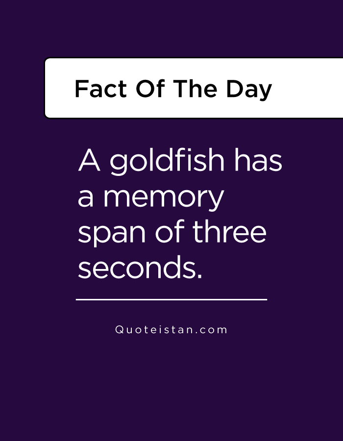 A goldfish has a memory span of three seconds.