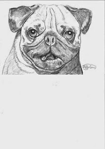 Pug tongue picture