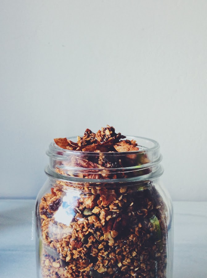 Granola de chocolate casera