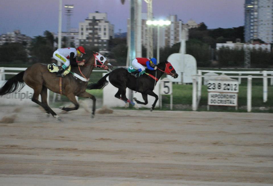 DE TURF UN POCO...: 2012-10-21