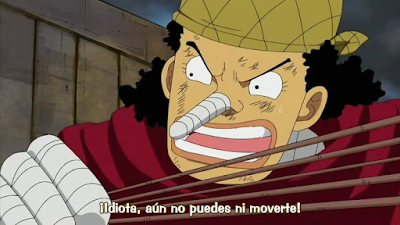Ver One Piece Saga de Water 7, la isla del agua - Capítulo 311