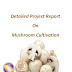  Project Report on Mushroom Cultivation