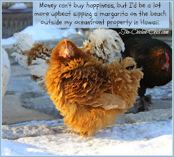 chicken winter care chick coop mistakes avoid warm chickens winterized keeping coops winterize down keep way