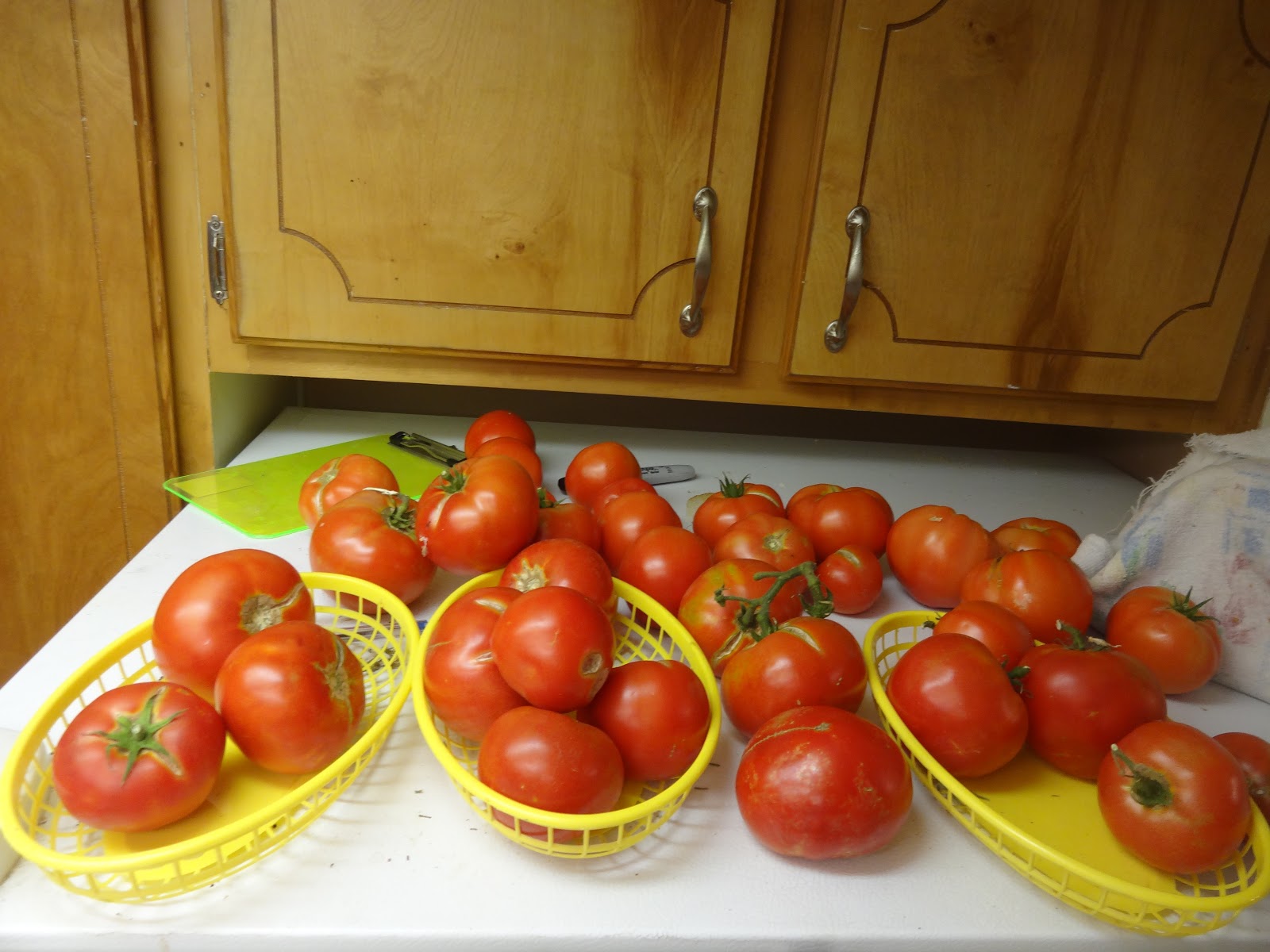 The Scientific Gardener Fridge Tomatoes