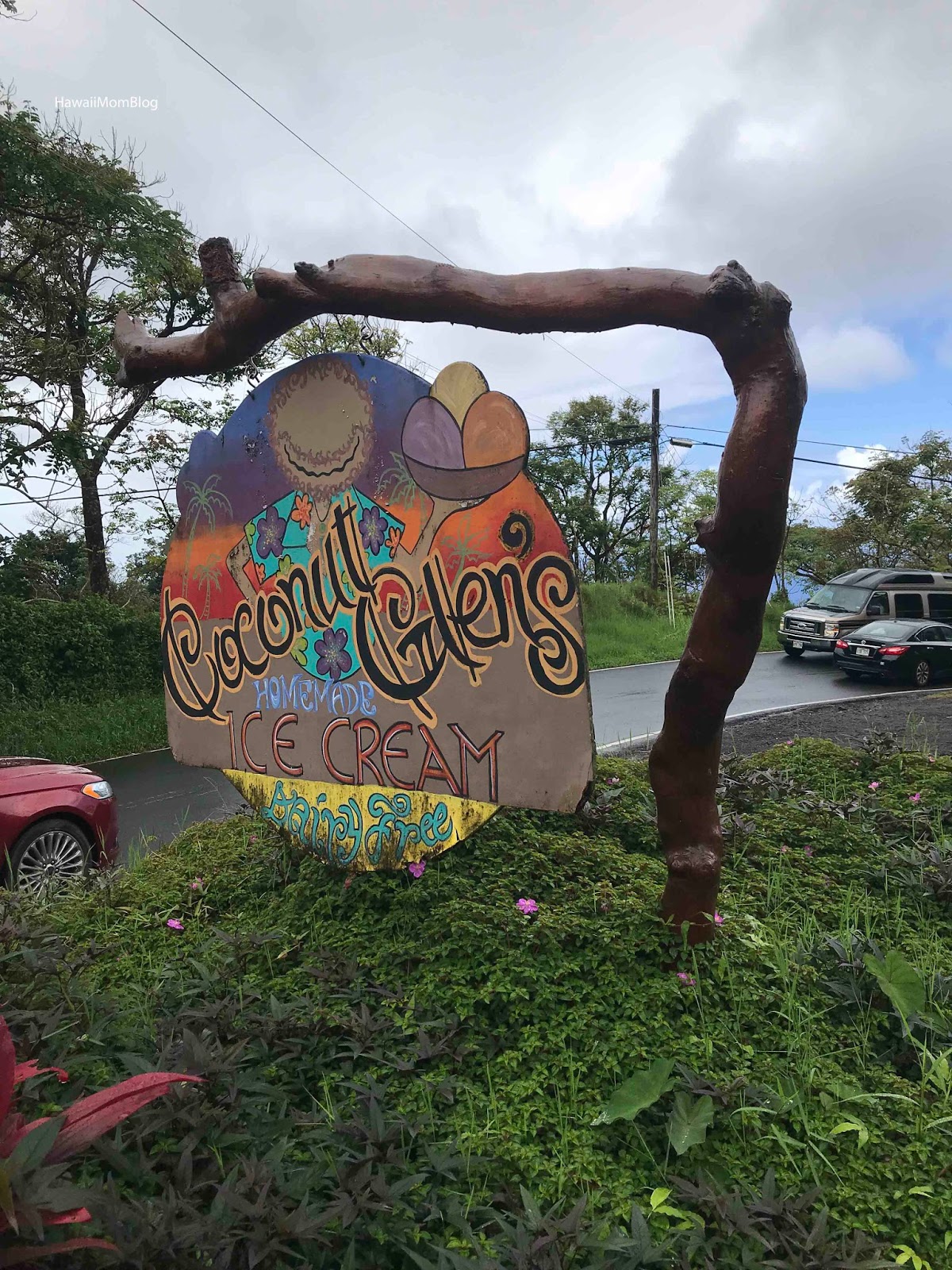 Hawaii Mom Blog Visit Maui Coconut Glen's